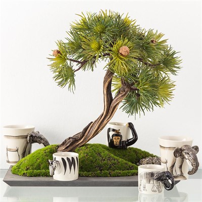 Mudo Home Monkey Wild Kahve Fi̇ncani