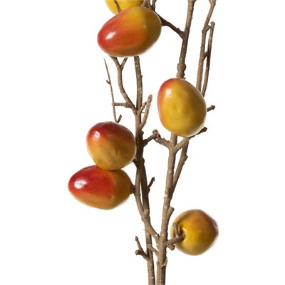 Mudo Home Natural Meyve Dal Çi̇çek 75 Cm