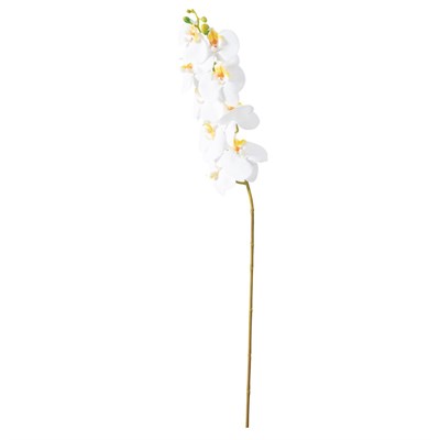 Mudo Home Orki̇de Dal Çi̇çek Beyaz 92 Cm