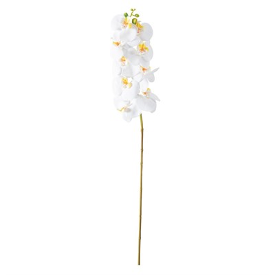 Mudo Home Orki̇de Dal Çi̇çek Beyaz 92 Cm