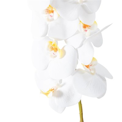 Mudo Home Orki̇de Dal Çi̇çek Beyaz 92 Cm