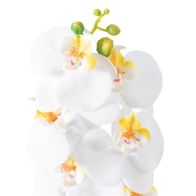 Mudo Home Orki̇de Dal Çi̇çek Beyaz 92 Cm