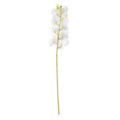 Mudo Home Orki̇de Dal Çi̇çek Beyaz 92 Cm
