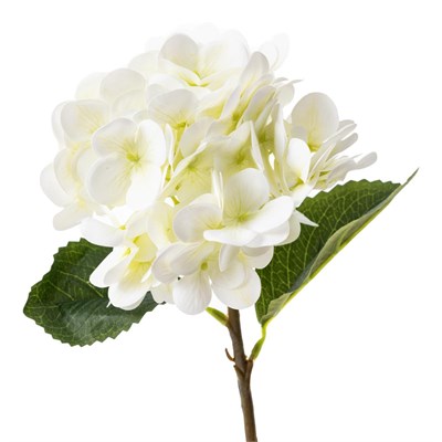 Mudo Home Single Ortanca Çi̇çek Beyaz 42 Cm