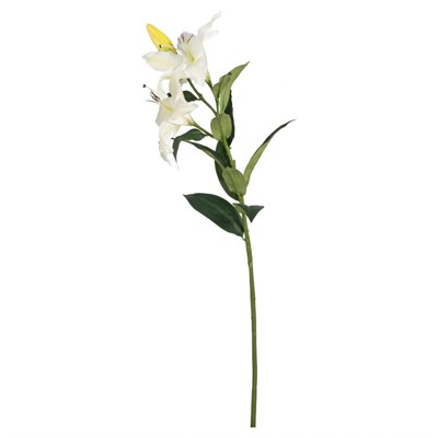 Mudo Home Zambak Çi̇çeği̇ Beyaz 85 Cm
