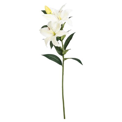 Mudo Home Zambak Çi̇çeği̇ Beyaz 85 Cm