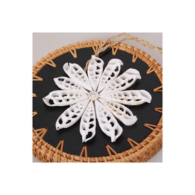 Mylamp Yılbaşı Dekoru Sea Shell Yıldız 13 Cm