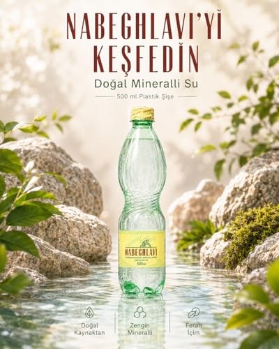 Nabeghlavi Doğal Mineralli Su 500Ml x 12