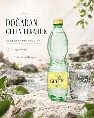 Nabeghlavi Doğal Mineralli Su 500Ml x 12