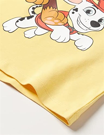 Name It Erkek çocuk NMMMILTER PAWPATROL SS TOP CPLG Tişört