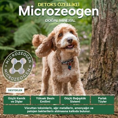 Nature’s Protection Superior Care Kızıl Tüylü Yavru Köpekler İçin Böcek Proteinli Diş Eti & Ağız Bakım Köpek Ödülü 150g