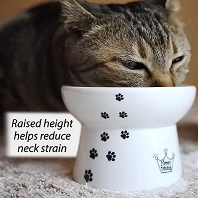 Necoichi Yükseltilmiş Stressiz Kedi Maması Kasesi, Yükseltilmiş, Geri Akış Önleme, Bulaşık Makinesi ve Mikrodalgada Kullanılabilir (Kedi, Normal)
