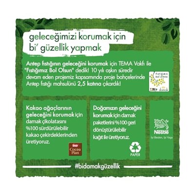 Nestlé Damak İnci Antep Fıstıklı Beyaz Çikolata, 60 g