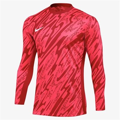 Nike M Nk Df Gardien V Gk Jsy Ls Uzun kollu üst Erkekler