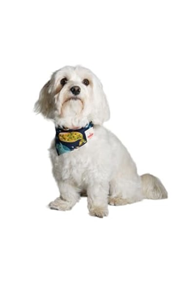 NobleDog Balina Desenli Lacivert Köpek Fuları Lacivert L