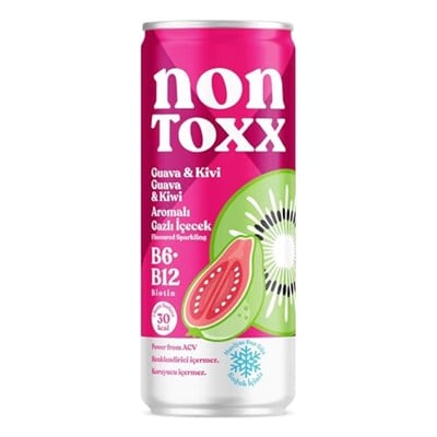 NONTOXX Guava Kivi Sirkeli Gazlı İçecek 250 ml