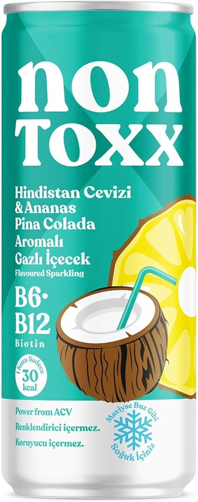 NONTOXX Hindistan Cevizi Ananas Sirkeli Gazlı İçecek 250 ml