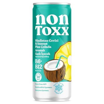 NONTOXX Hindistan Cevizi Ananas Sirkeli Gazlı İçecek 250 ml