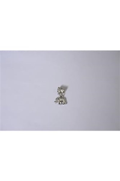 Pandora, Charm Bileklik Uyumlu, Gümüş, Charm takıNM267