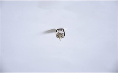 Pandora, Charm Bileklik Uyumlu, Gümüş, Charm takıNM157