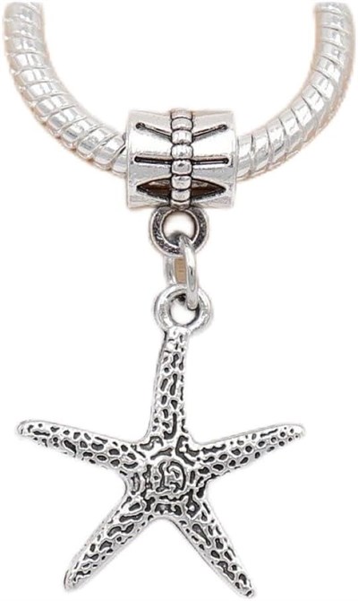 PANDORA CHARM BİLEKLİK UYUMLU GÜMÜŞ CHARM takıNM139