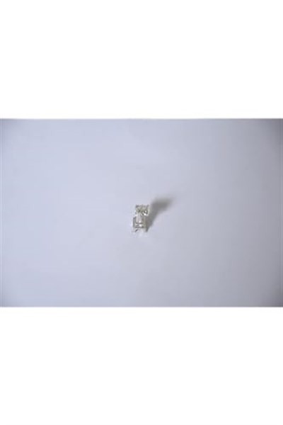 Pandora, Charm Bileklik Uyumlu, Gümüş, Charm takıNM154