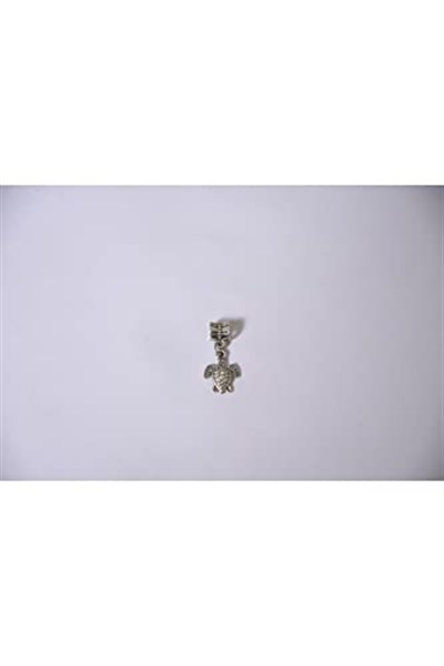 Pandora, Charm Bileklik Uyumlu, Gümüş, Charm takıNM184