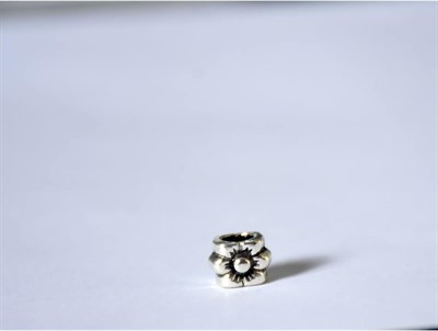 Pandora, Charm Bileklik Uyumlu, Gümüş, Charm takıNM278