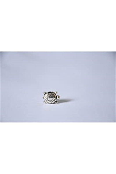 Pandora, Charm Bileklik Uyumlu, Gümüş, Charm takıNM298