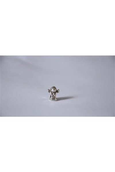 Pandora, Charm Bileklik Uyumlu, Gümüş, Charm takıNM161