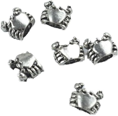 PANDORA CHARM BİLEKLİK UYUMLU GÜMÜŞ CHARM takıNM103