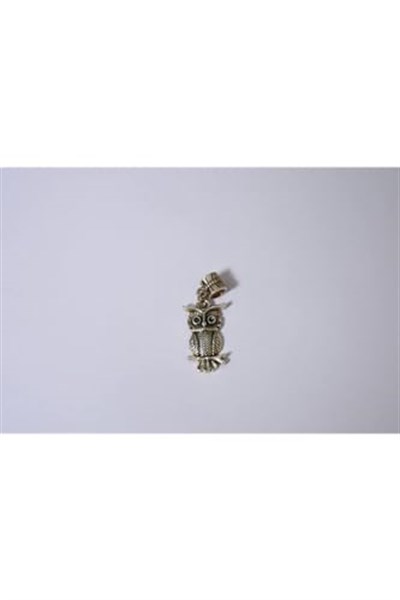 Pandora, Charm Bileklik Uyumlu, Gümüş, Charm takıNM250