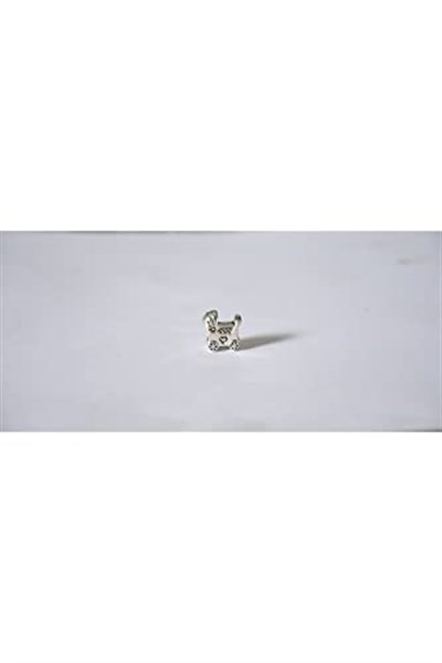 Pandora, Charm Bileklik Uyumlu, Gümüş, Charm takıNM186