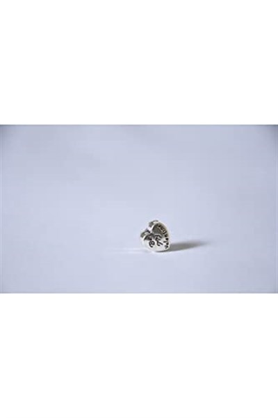 Pandora, Charm Bileklik Uyumlu, Gümüş, Charm takıNM260
