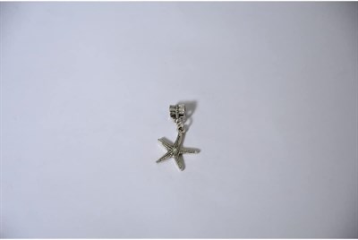 Pandora, Charm Bileklik Uyumlu, Gümüş, Charm takıNM151