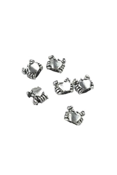PANDORA CHARM BİLEKLİK UYUMLU GÜMÜŞ CHARM takıNM103