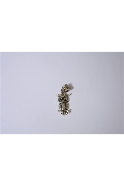 Pandora, Charm Bileklik Uyumlu, Gümüş, Charm takıNM250