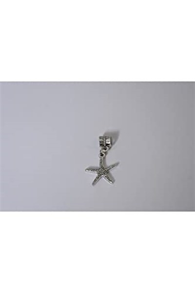 Pandora, Charm Bileklik Uyumlu, Gümüş, Charm takıNM239