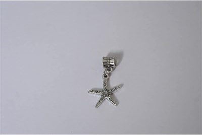 Pandora, Charm Bileklik Uyumlu, Gümüş, Charm takıNM239