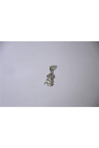 Pandora, Charm Bileklik Uyumlu, Gümüş, Charm takıNM160