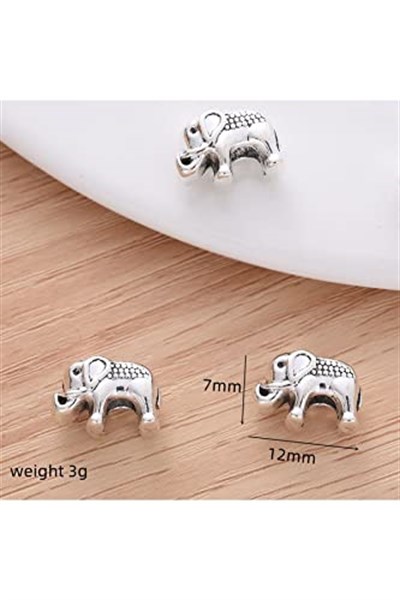 PANDORA CHARM BİLEKLİK UYUMLU GÜMÜŞ CHARM takıNM105