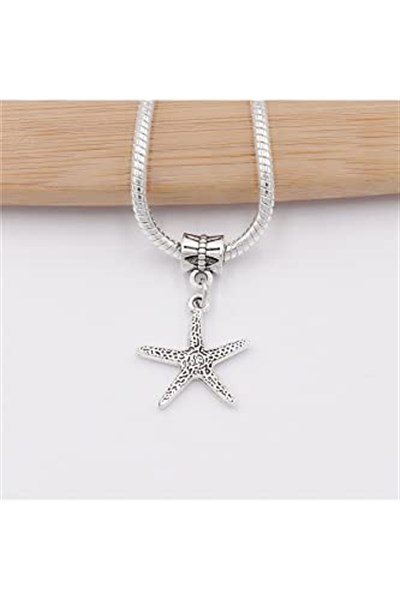 PANDORA CHARM BİLEKLİK UYUMLU GÜMÜŞ CHARM takıNM125