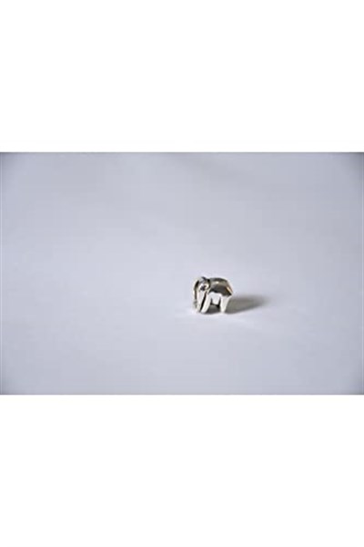 Pandora, Charm Bileklik Uyumlu, Gümüş, Charm takıNM174