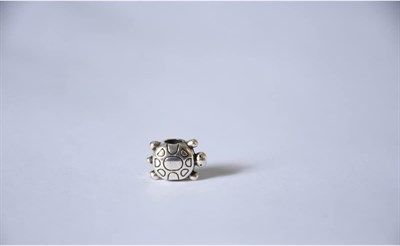 Pandora, Charm Bileklik Uyumlu, Gümüş, Charm takıNM298
