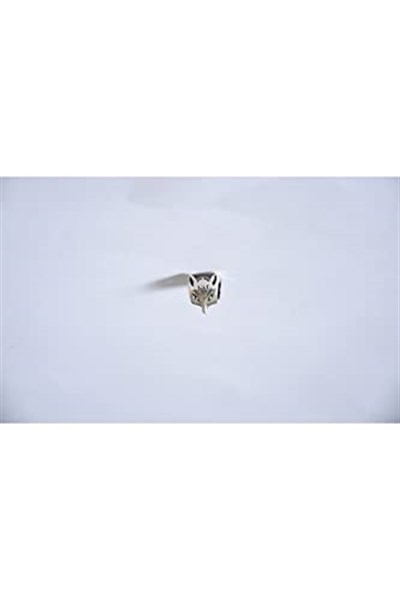 Pandora, Charm Bileklik Uyumlu, Gümüş, Charm takıNM157