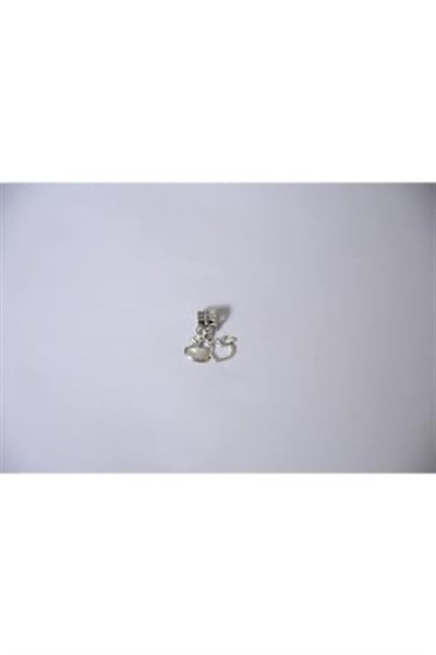 Pandora, Charm Bileklik Uyumlu, Gümüş, Charm takıNM213