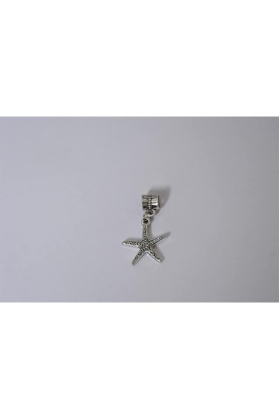 Pandora, Charm Bileklik Uyumlu, Gümüş, Charm takıNM239