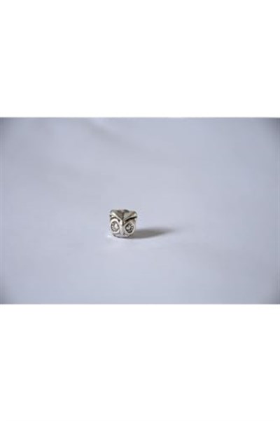 Pandora, Charm Bileklik Uyumlu, Gümüş, Charm takıNM222