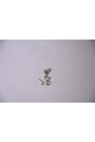 Pandora, Charm Bileklik Uyumlu, Gümüş, Charm takıNM271