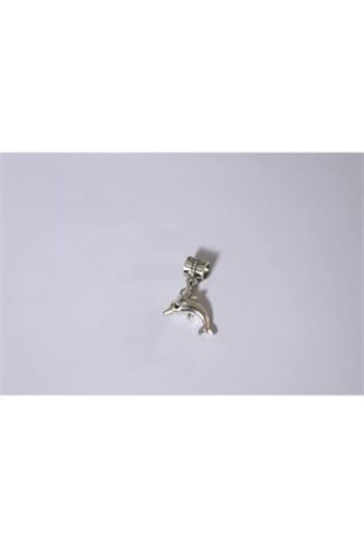 Pandora, Charm Bileklik Uyumlu, Gümüş, Charm takıNM180